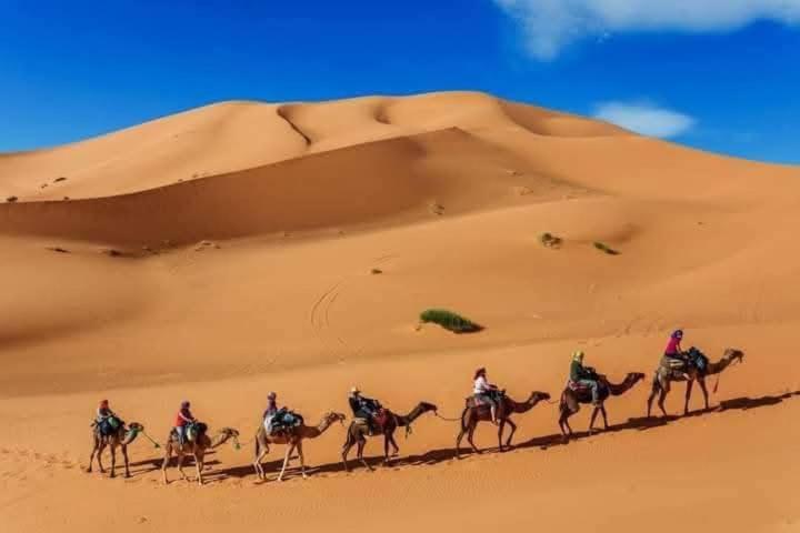 Hotel Bivouac Camel Trips Merzouga Zewnętrze zdjęcie
