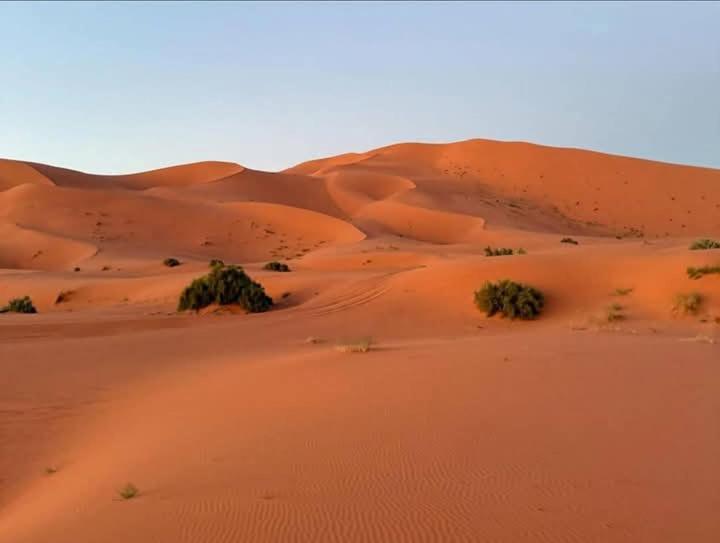 Hotel Bivouac Camel Trips Merzouga Zewnętrze zdjęcie