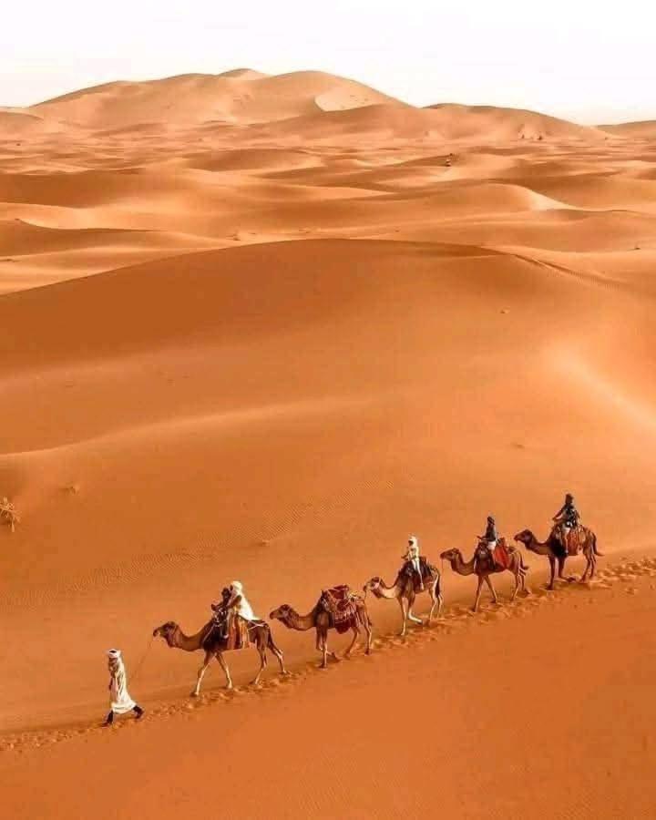 Hotel Bivouac Camel Trips Merzouga Zewnętrze zdjęcie